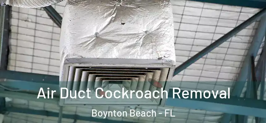  Air Duct Cockroach Removal Boynton Beach - FL