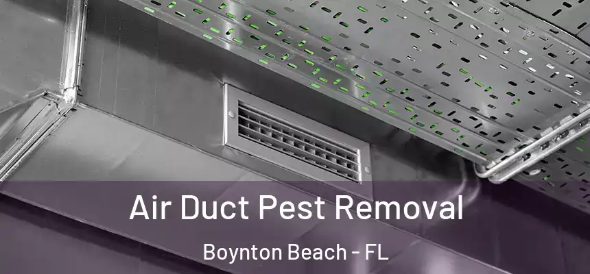  Air Duct Pest Removal Boynton Beach - FL