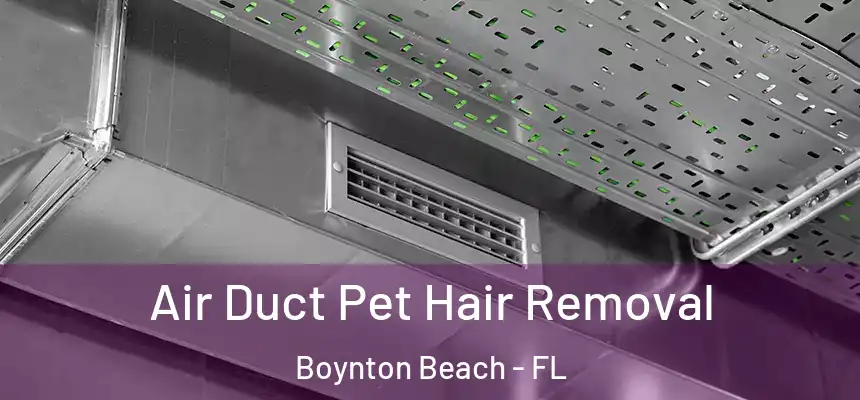 Air Duct Pet Hair Removal Boynton Beach - FL