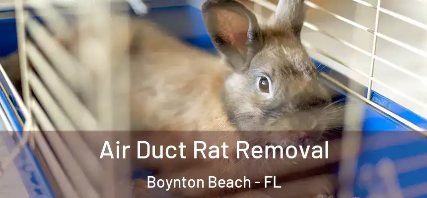  Air Duct Rat Removal Boynton Beach - FL