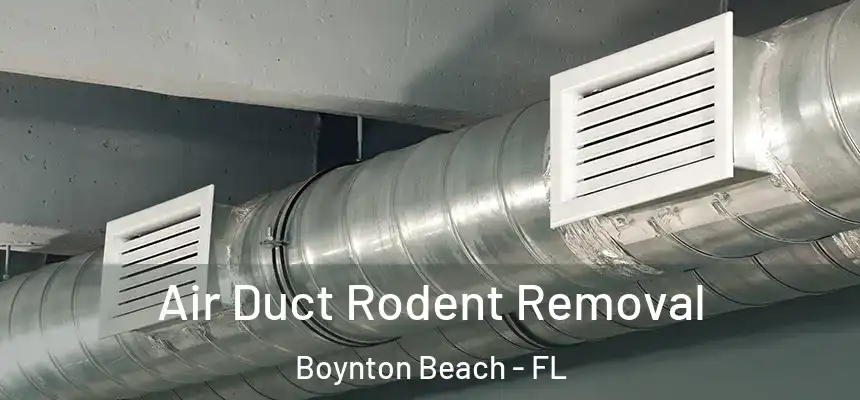  Air Duct Rodent Removal Boynton Beach - FL