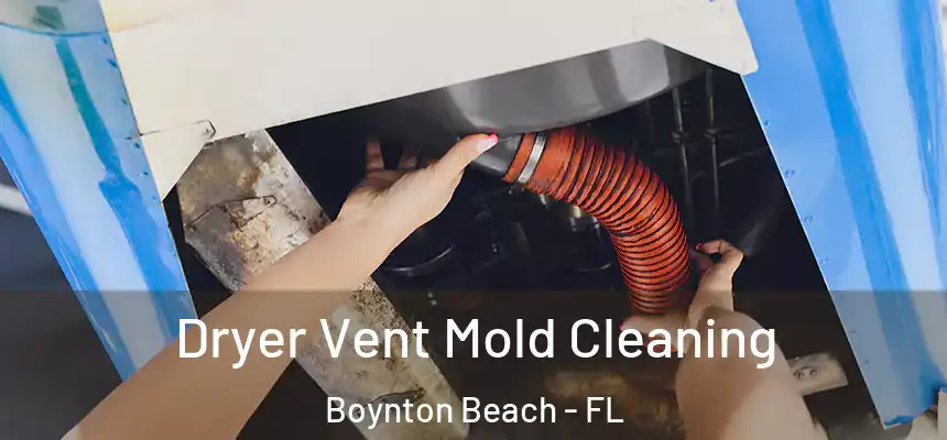 Dryer Vent Mold Cleaning Boynton Beach - FL