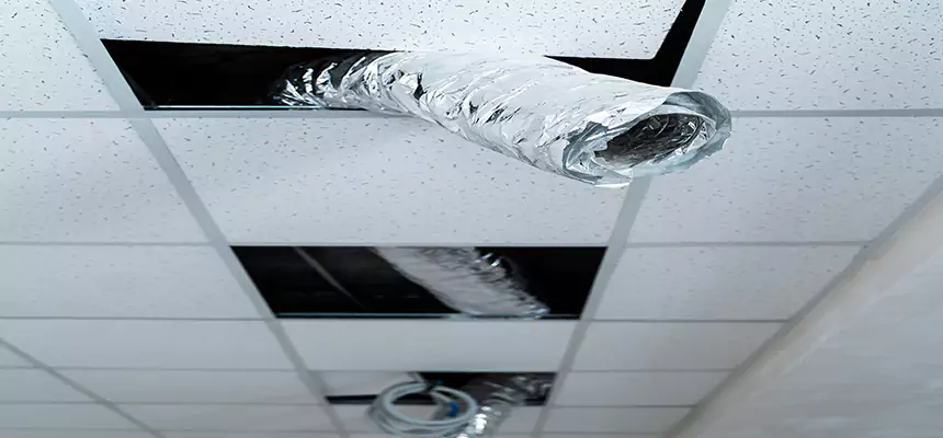 Affordable HVAC Sanitizing After Pest Removal in Boynton Beach