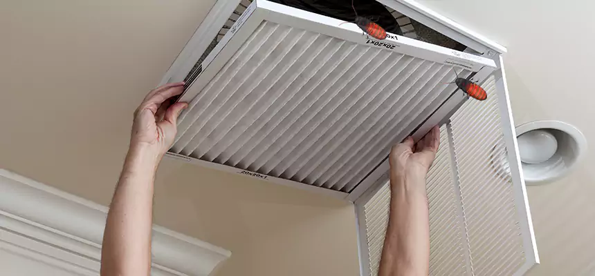 Our Insect Removal from Air Ducts Services in Boynton Beach, FL
