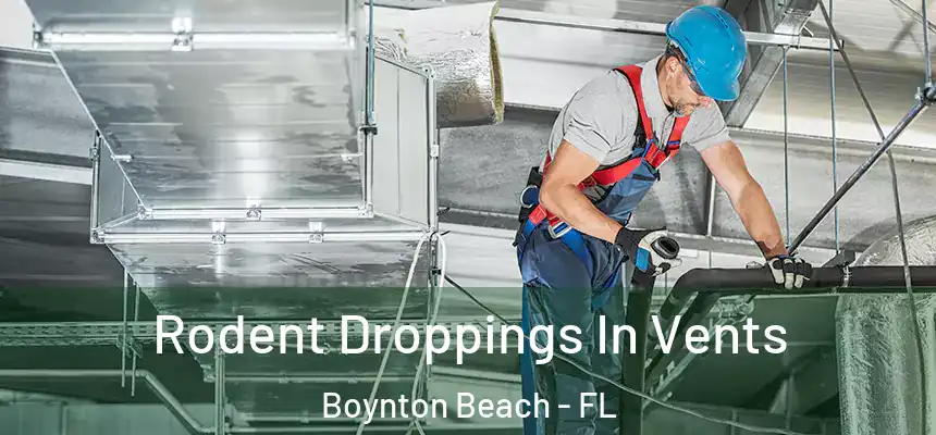  Rodent Droppings In Vents Boynton Beach - FL