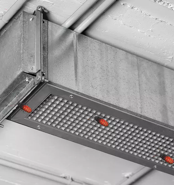 About Air Duct Cockroach Removal in Boynton Beach, FL