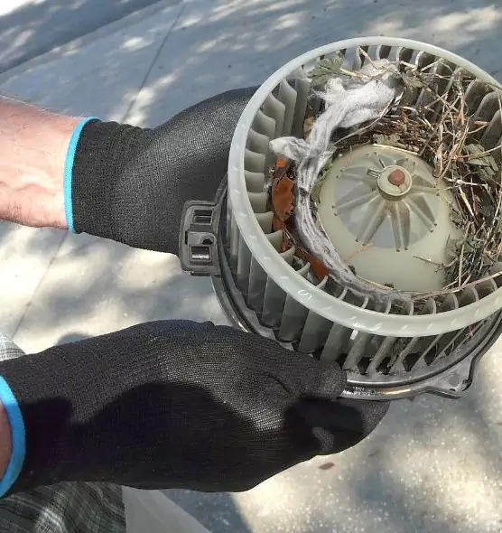 About Air Duct Mice Removal in Boynton Beach, FL