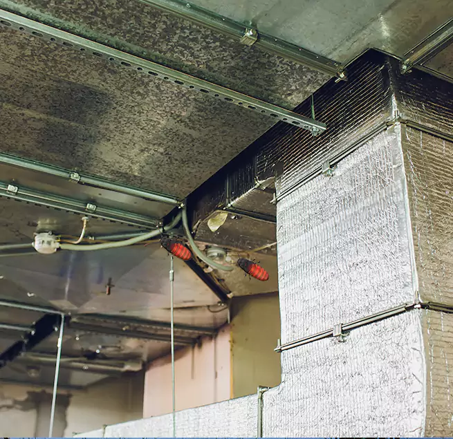 Why Homeowners & Businesses Trust Us in Boynton Beach, FL?