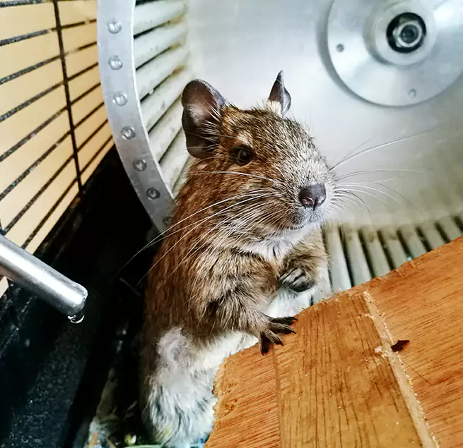 Why Homeowners & Businesses Trust Us Boynton Beach, FL