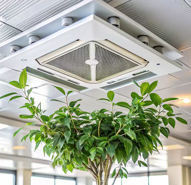 Why Homeowners & Businesses Trust Us in Boynton Beach, FL?